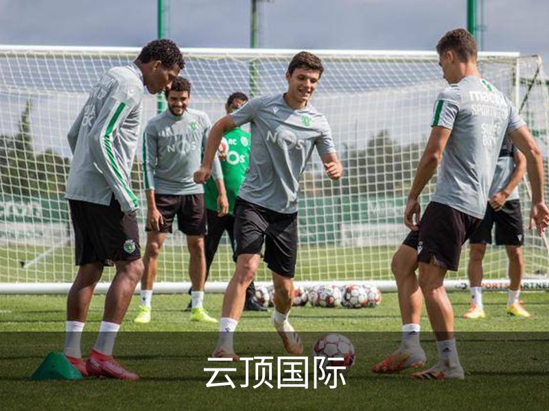 云顶国际概况